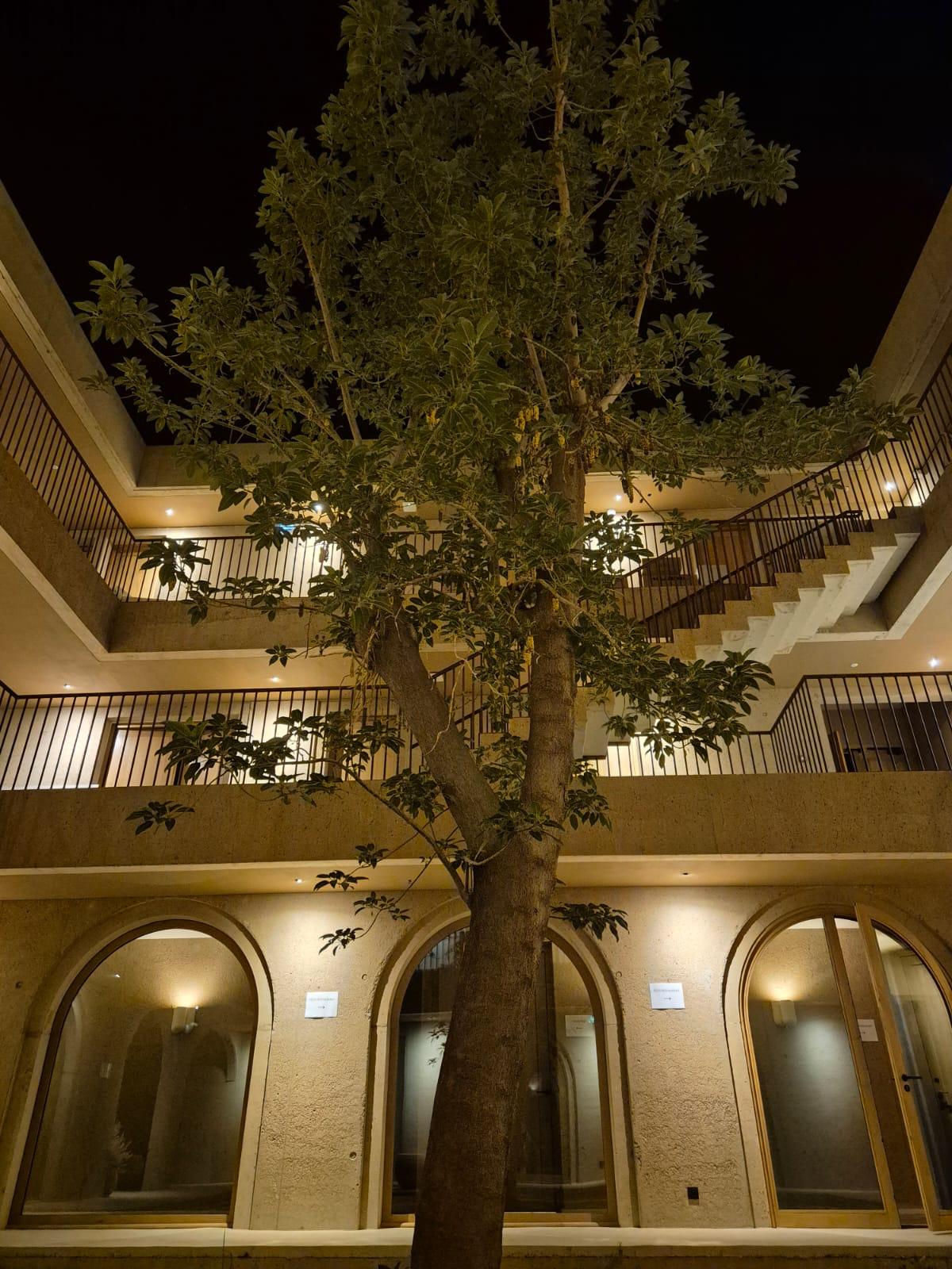 Construction de la Halle des Sports à Ajaccio